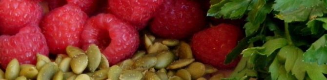 cropped-cropped-raspberry-pumpkin-seed-salad.jpg