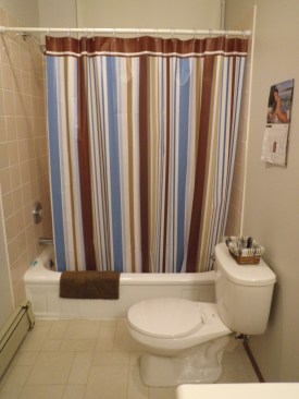striped shower curtain bathroom